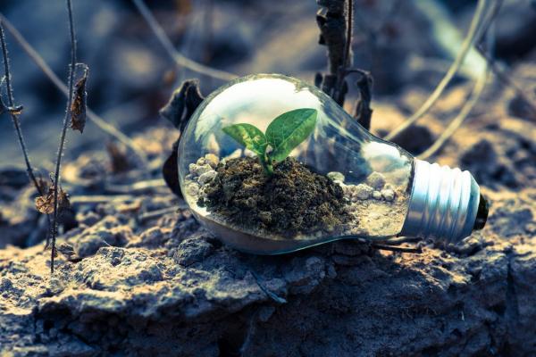 8 modi per ridurre il consumo di plastica negli affitti brevi e risparmiare